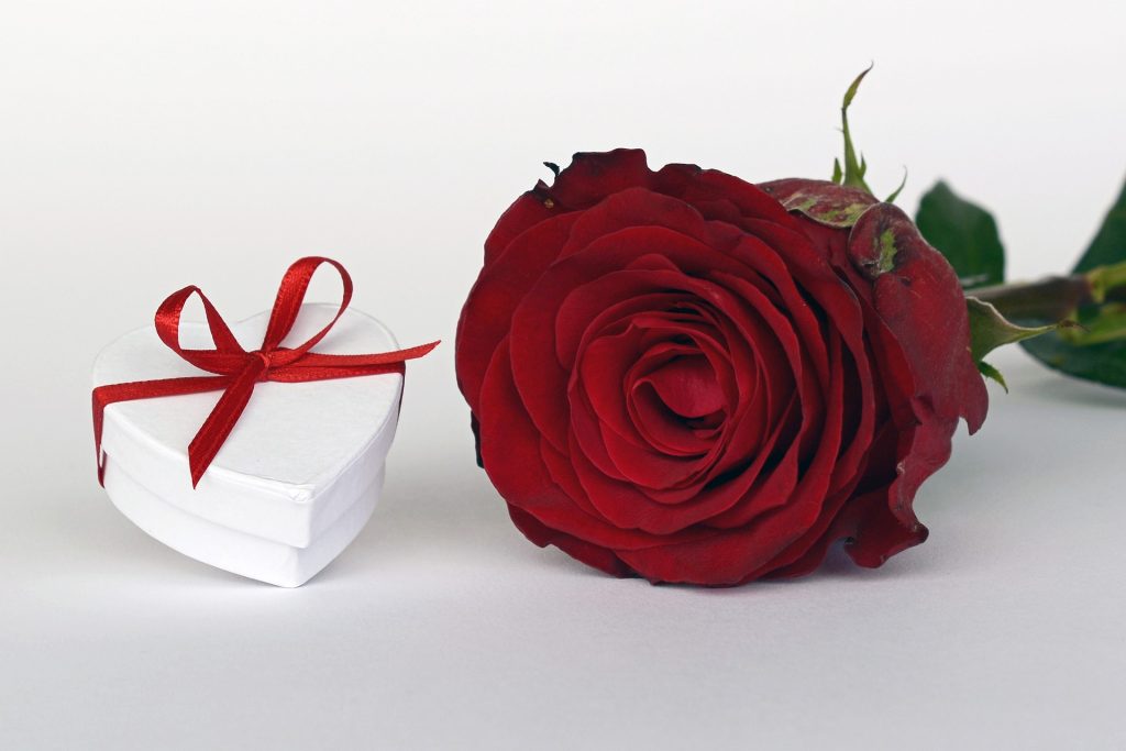 Die 5 Sprachen der Liebe: Rose und Geschenk