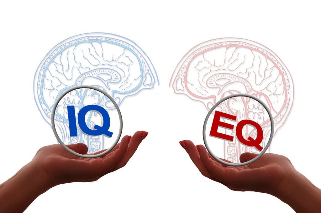 Emotionale Intelligenz: IQ und EQ