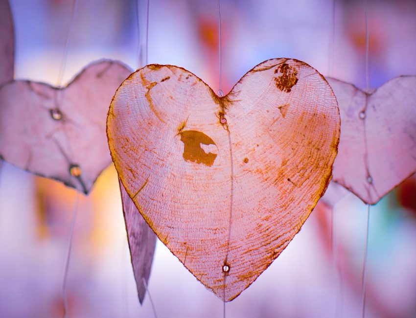 heart-4315984_1280